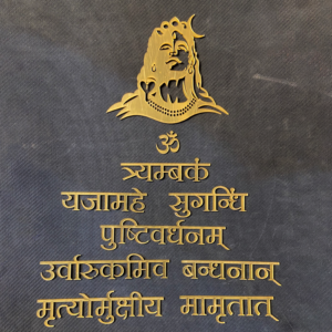 🕉️ Shiv Mahamrityunjaya Mantra Cutting 1 Inches – Acrylic Wall Art